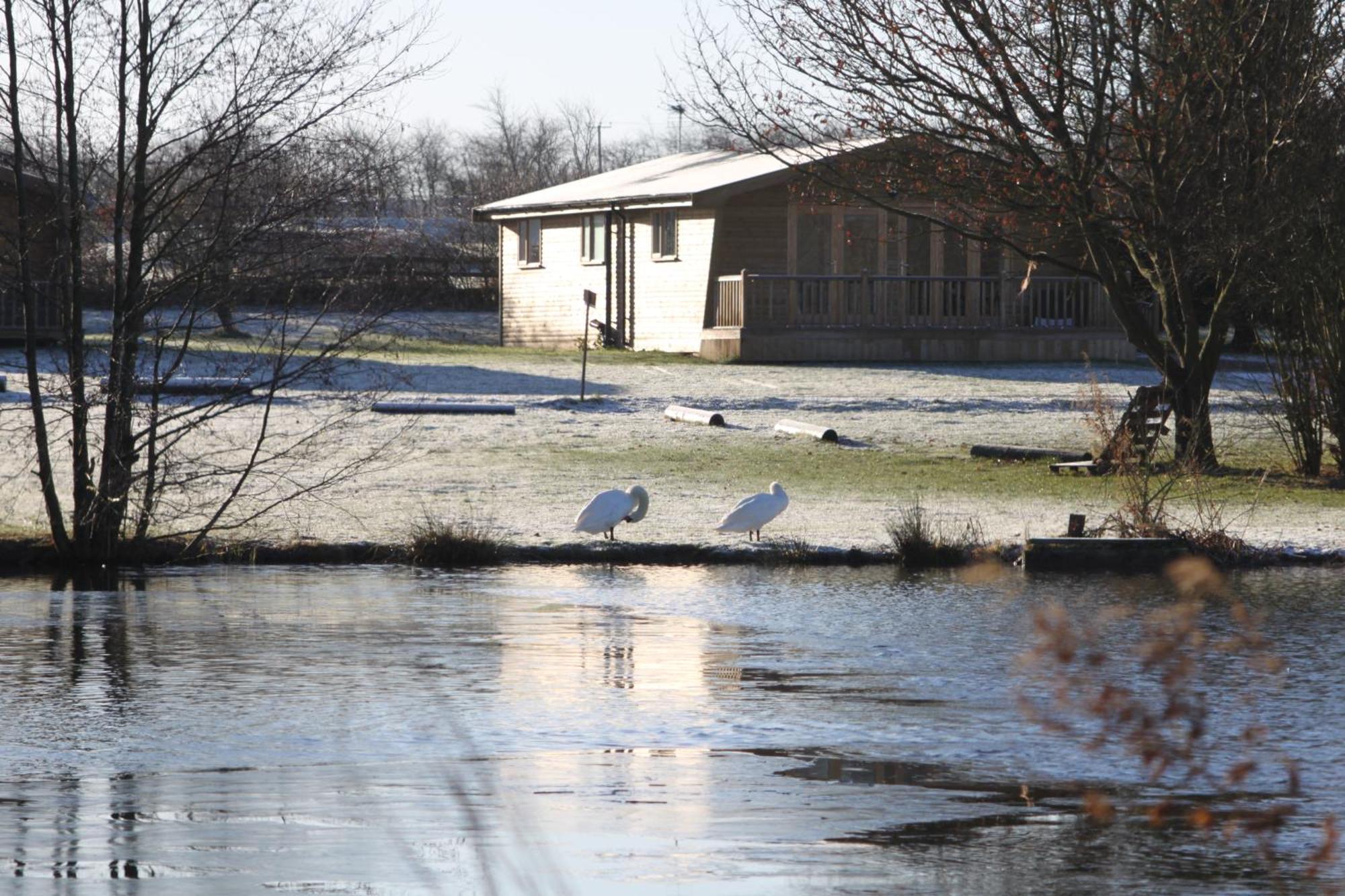 Woodpecker Lodge - Brook Meadow - Sleeps 4 Plus 2 - No Pets Маркет Харбъро Екстериор снимка