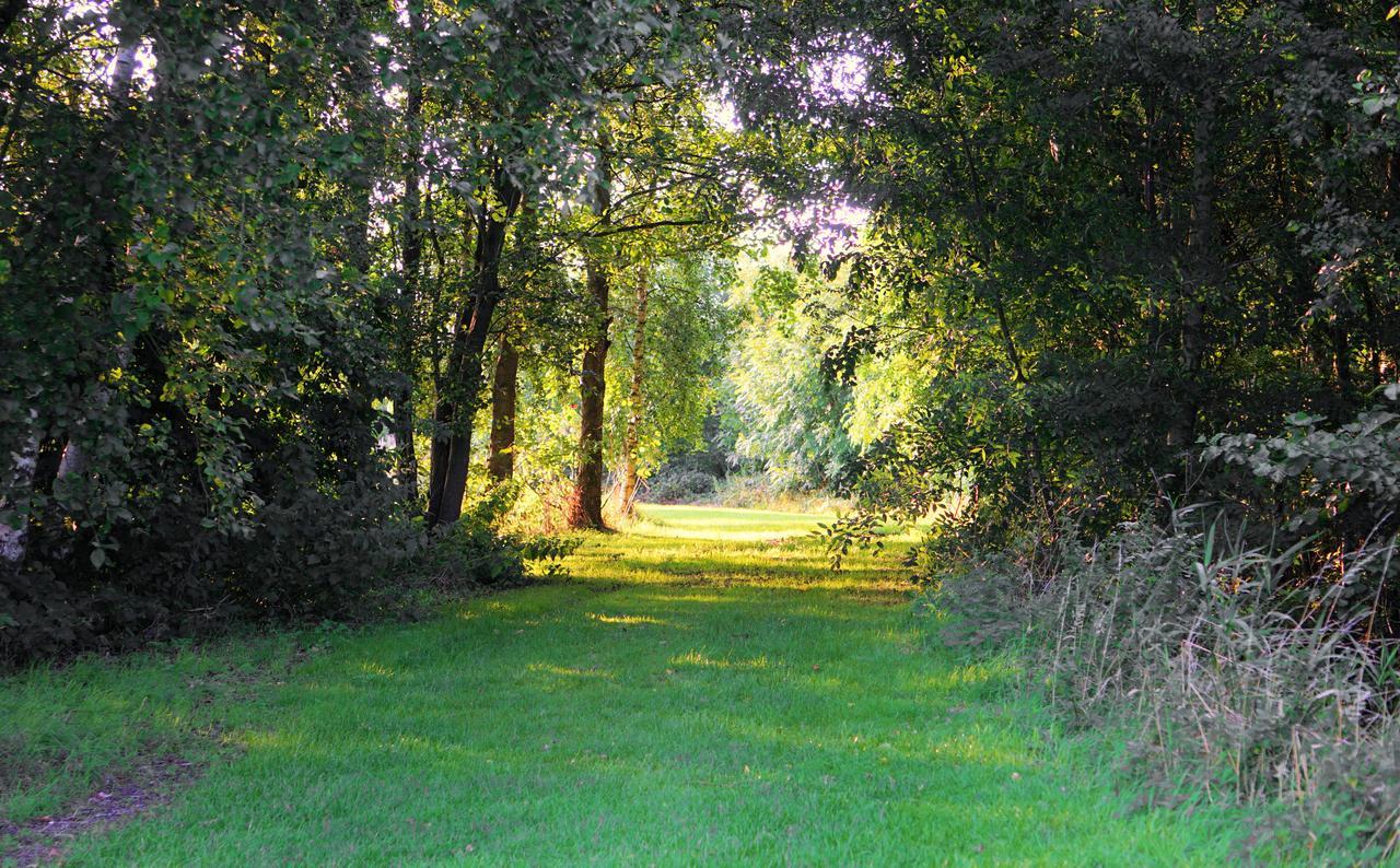 Woodpecker Lodge - Brook Meadow - Sleeps 4 Plus 2 - No Pets Маркет Харбъро Екстериор снимка